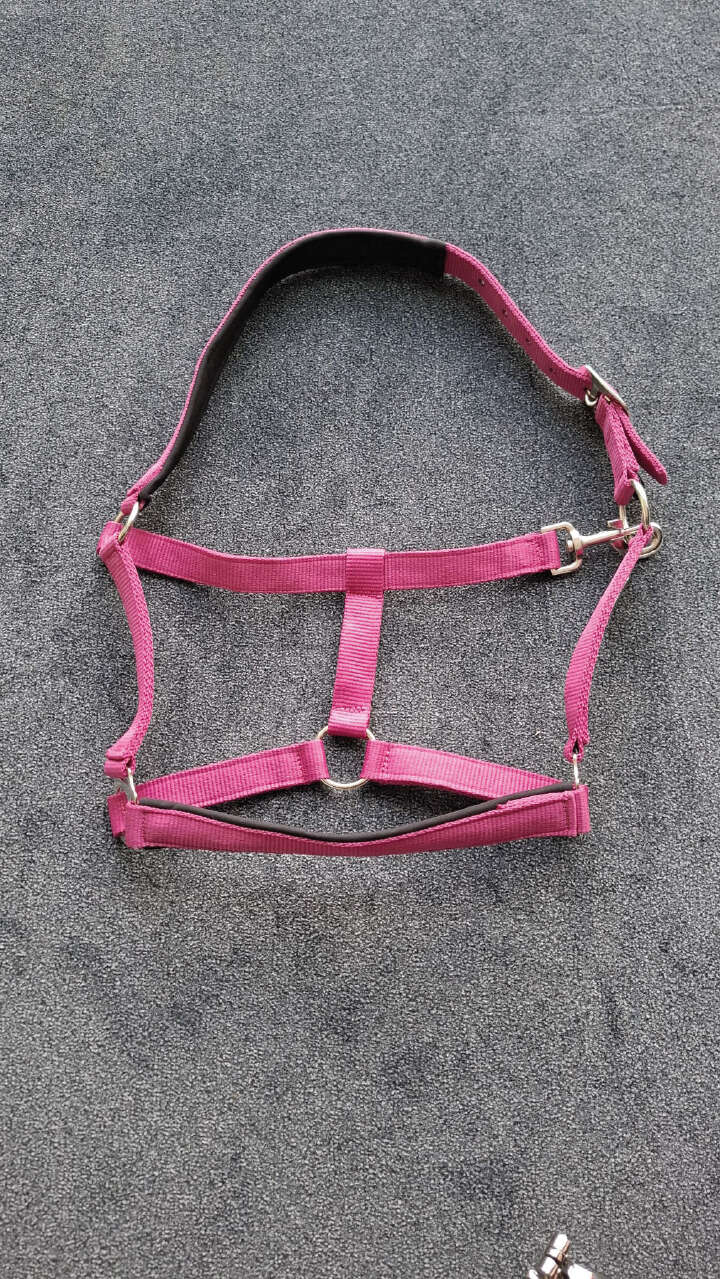 KANTRIE Halfter Meadow